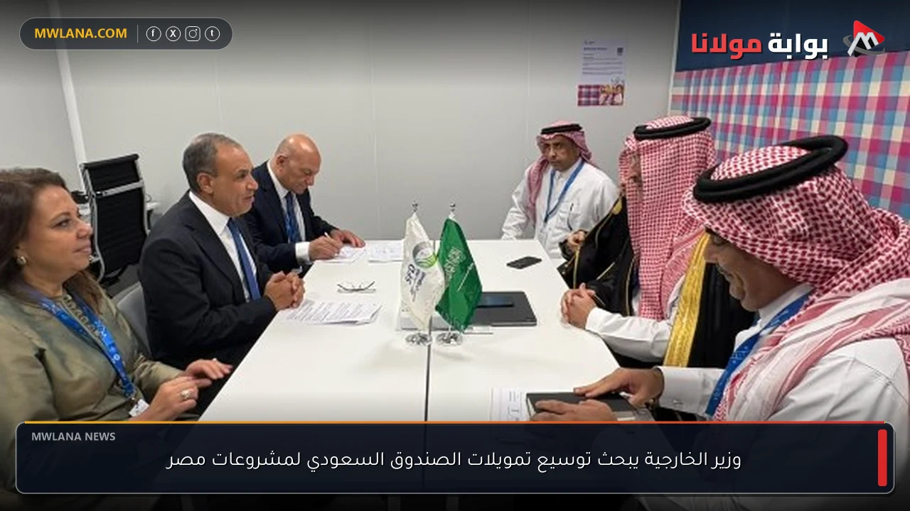 وزير الخارجية يبحث توسيع تمويلات الصندوق السعودي لمشروعات مصر