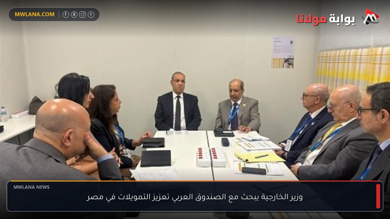 وزير الخارجية يبحث مع الصندوق العربي تعزيز التمويلات في مصر