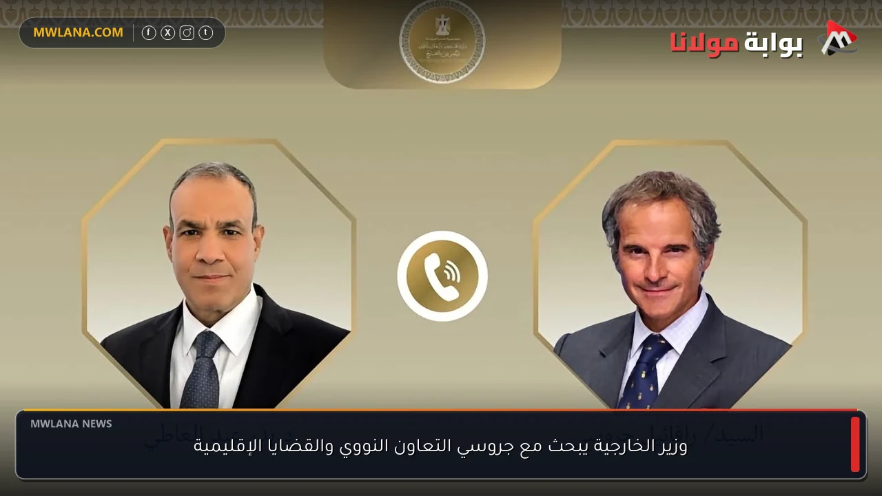 وزير الخارجية يبحث مع جروسي التعاون النووي والقضايا الإقليمية