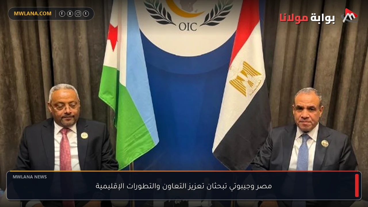 مصر وجيبوتي تبحثان تعزيز التعاون والتطورات الإقليمية