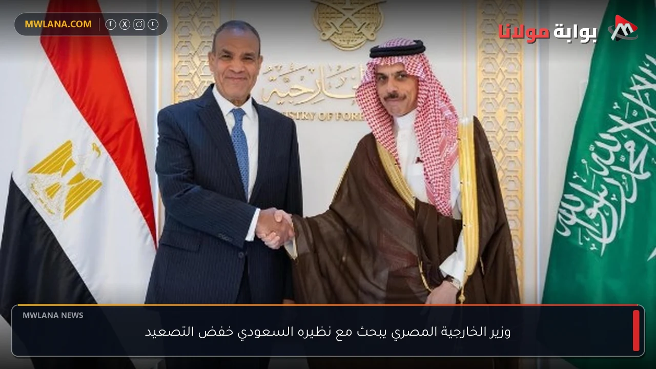 وزير الخارجية المصري يبحث مع نظيره السعودي خفض التصعيد