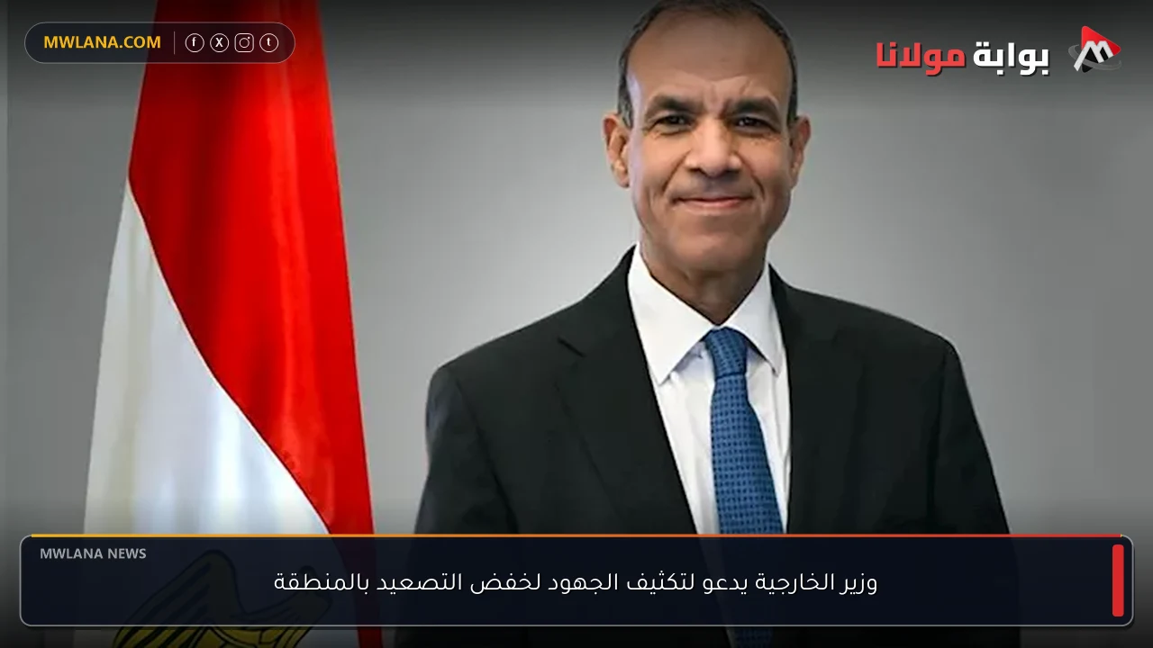 وزير الخارجية يدعو لتكثيف الجهود لخفض التصعيد بالمنطقة
