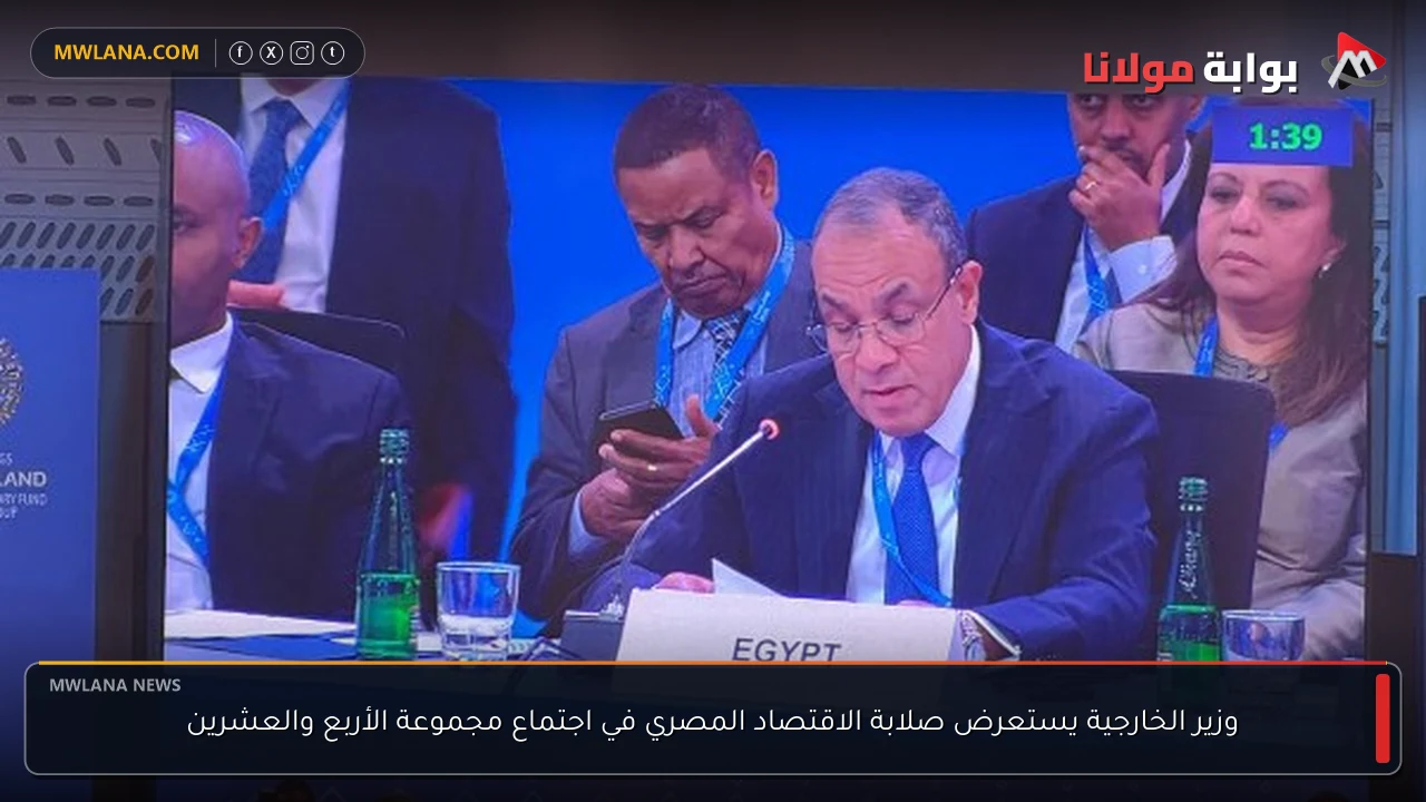 وزير الخارجية يستعرض صلابة الاقتصاد المصري في اجتماع مجموعة الأربع والعشرين