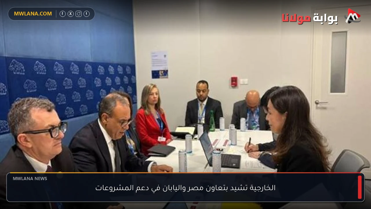الخارجية تشيد بتعاون مصر واليابان في دعم المشروعات