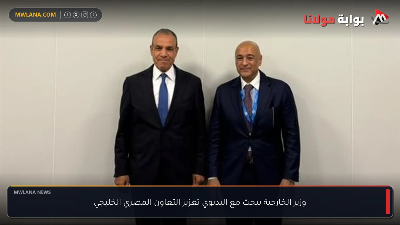 وزير الخارجية يبحث مع البديوي تعزيز التعاون المصري الخليجي