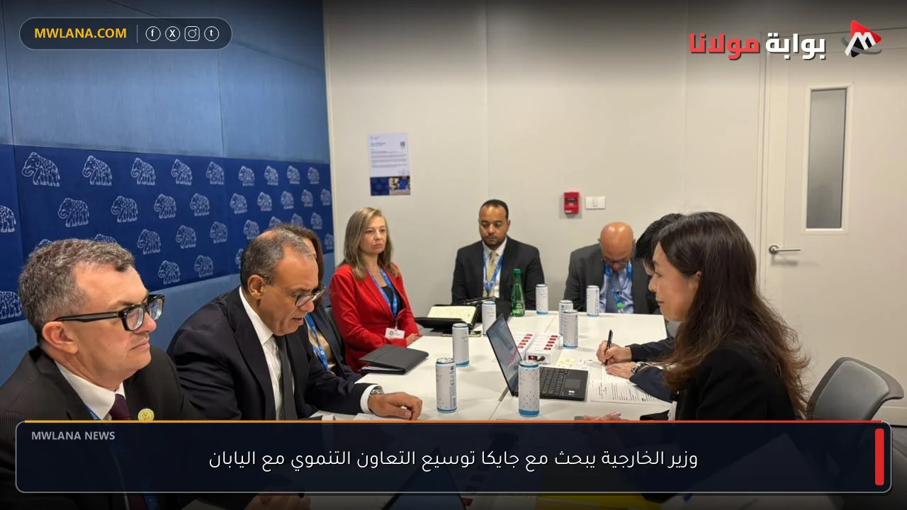 وزير الخارجية يبحث مع جايكا توسيع التعاون التنموي مع اليابان