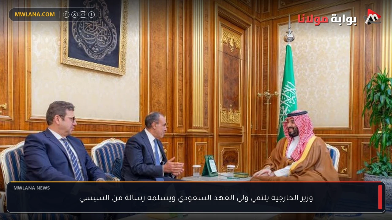 وزير الخارجية يلتقي ولي العهد السعودي ويسلمه رسالة من السيسي