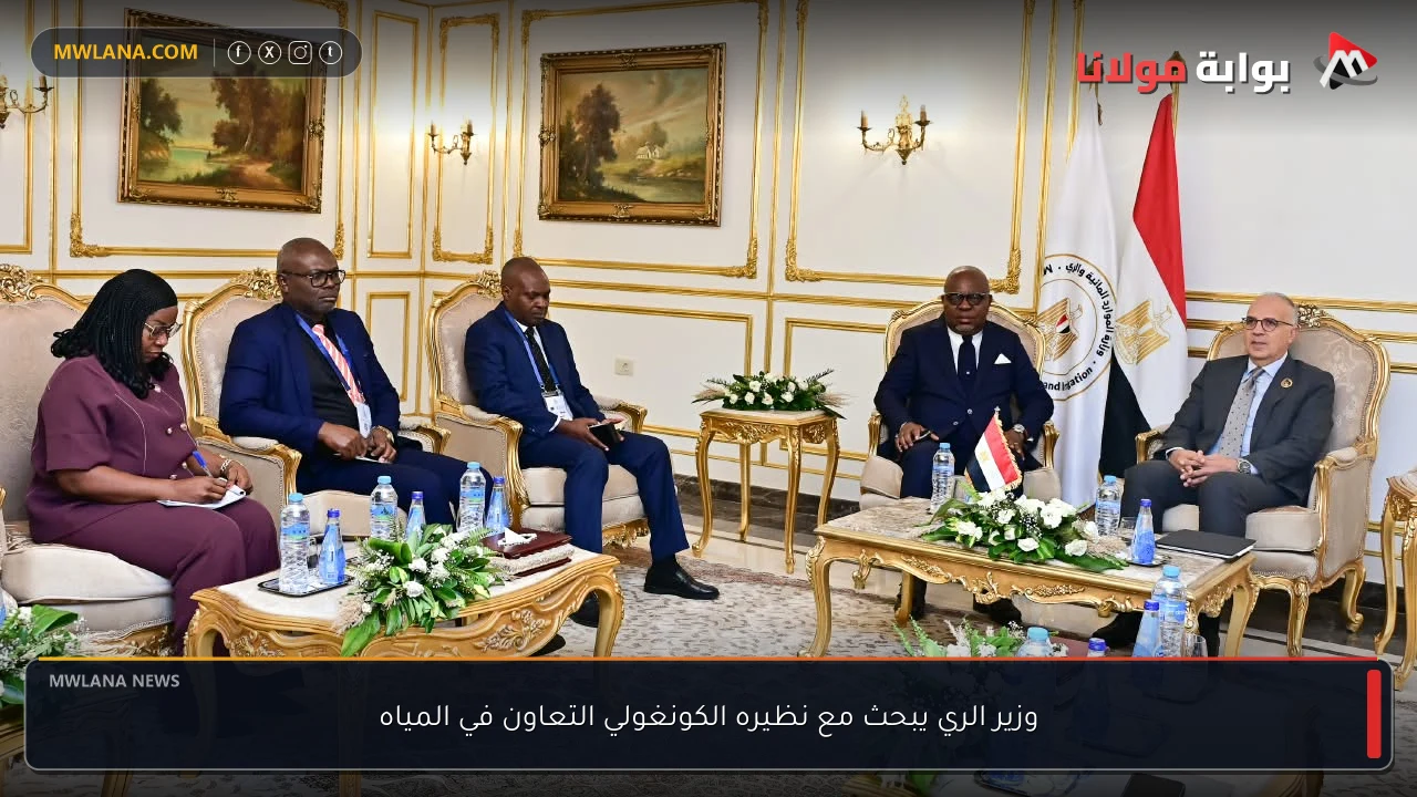 وزير الري يبحث مع نظيره الكونغولي التعاون في المياه