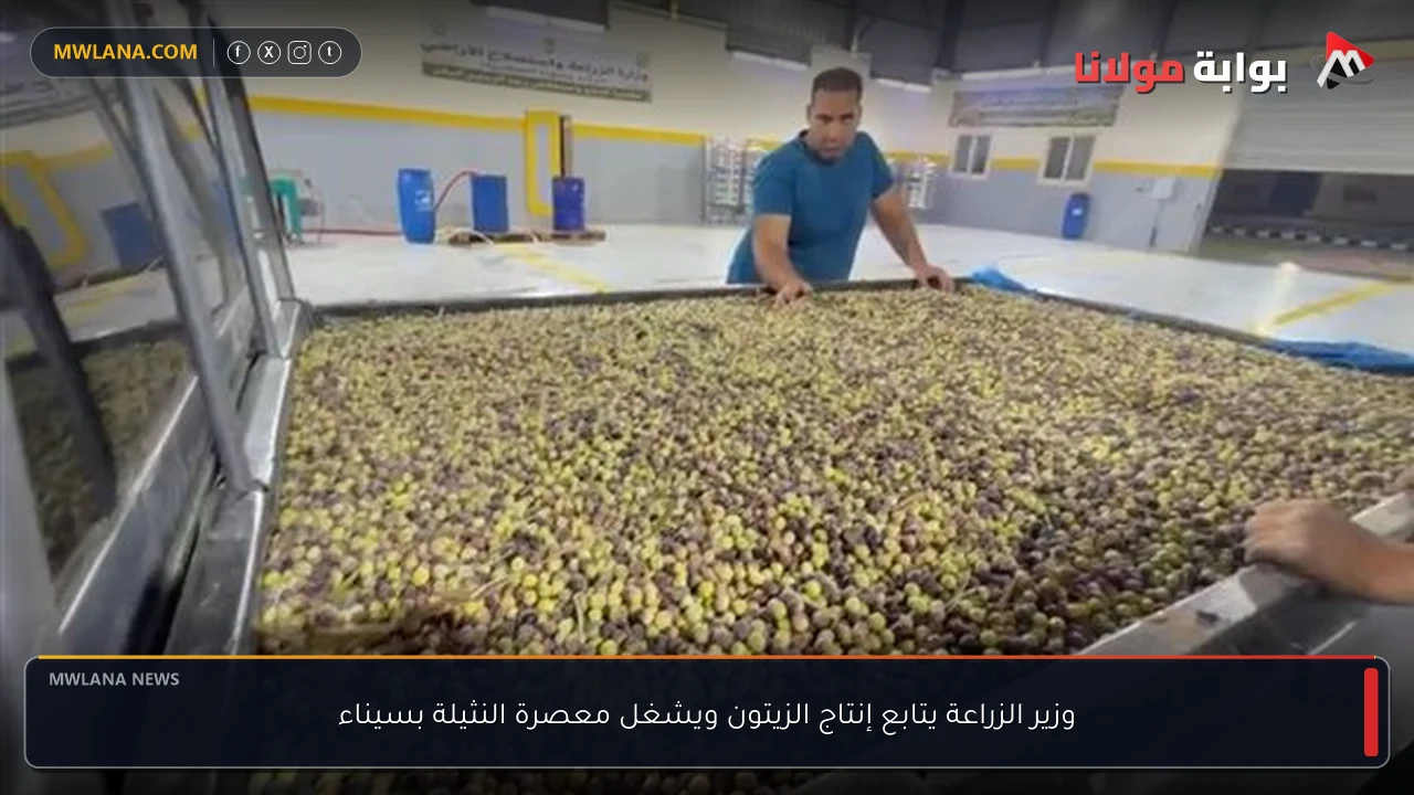 وزير الزراعة يتابع إنتاج الزيتون ويشغل معصرة النثيلة بسيناء