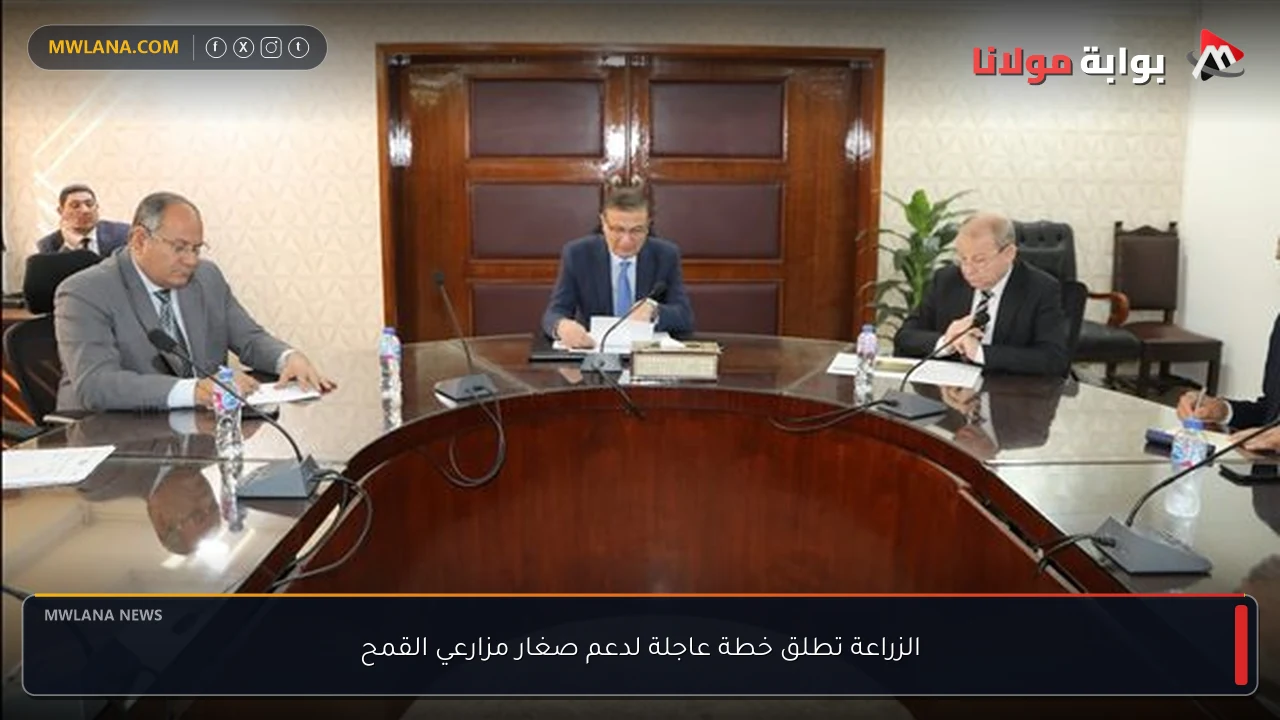 الزراعة تطلق خطة عاجلة لدعم صغار مزارعي القمح