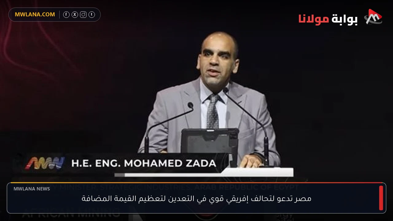 مصر تدعو لتحالف إفريقي قوي في التعدين لتعظيم القيمة المضافة