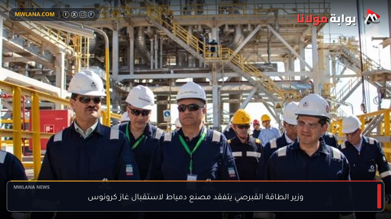 وزير الطاقة القبرصي يتفقد مصنع دمياط لاستقبال غاز كرونوس