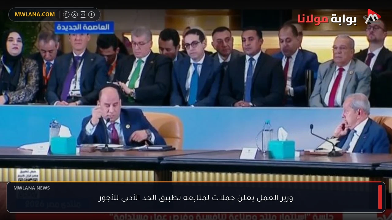 وزير العمل يعلن حملات لمتابعة تطبيق الحد الأدنى للأجور