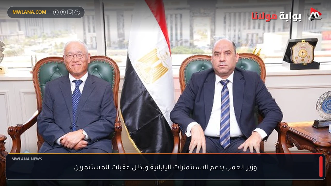 وزير العمل يدعم الاستثمارات اليابانية ويذلل عقبات المستثمرين