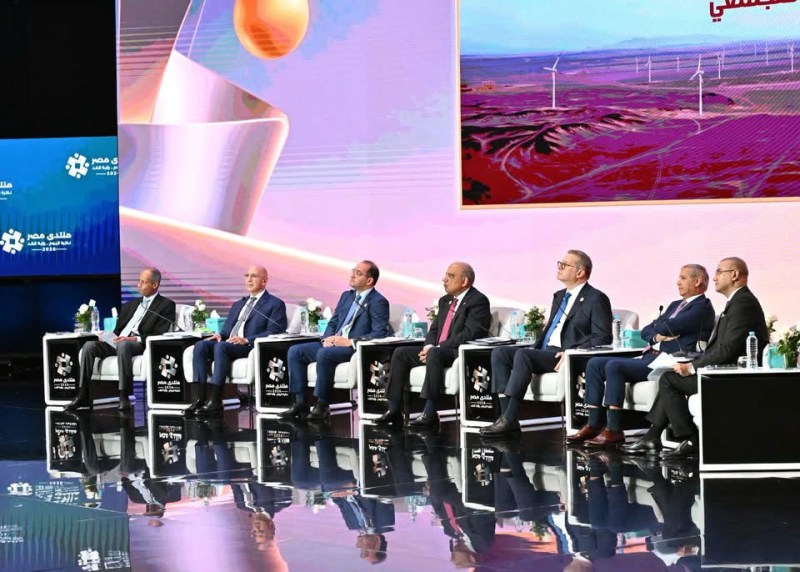 الدكتور محمود عصمت خلال جلسة مسيرة الطاقة