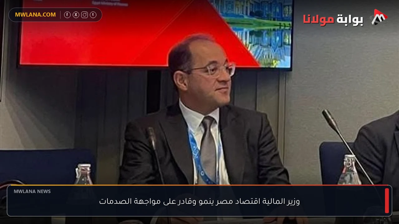 وزير المالية اقتصاد مصر ينمو وقادر على مواجهة الصدمات