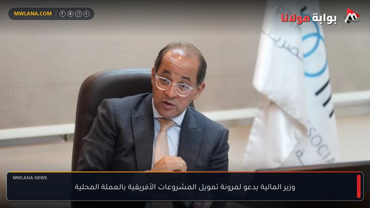 وزير المالية يدعو لمرونة تمويل المشروعات الأفريقية بالعملة المحلية