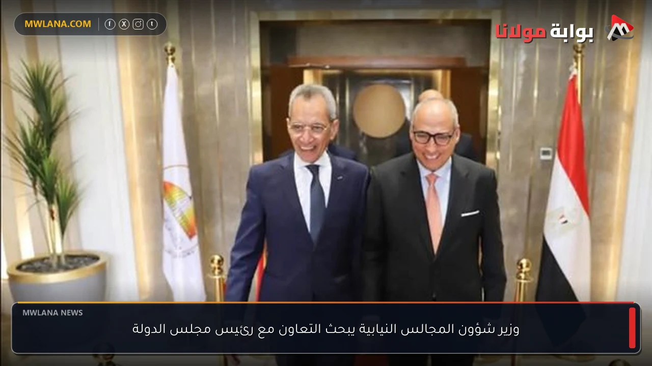 وزير شؤون المجالس النيابية يبحث التعاون مع رئيس مجلس الدولة