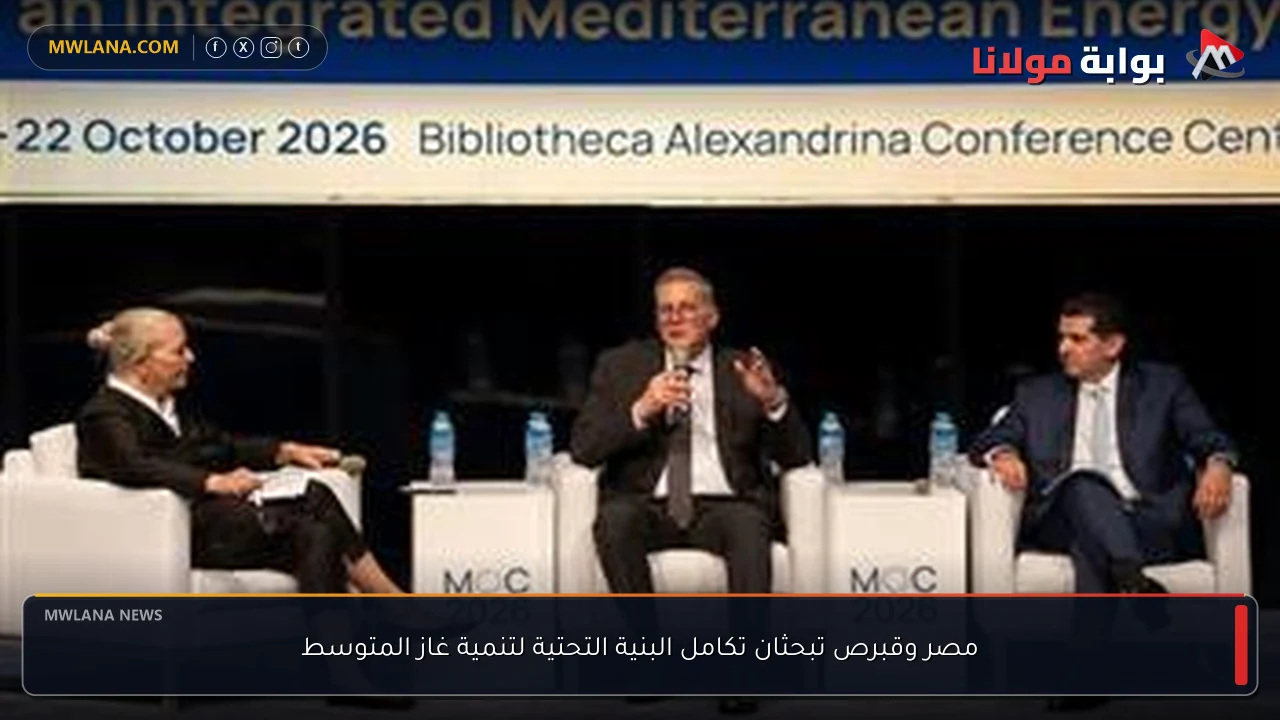 مصر وقبرص تبحثان تكامل البنية التحتية لتنمية غاز المتوسط