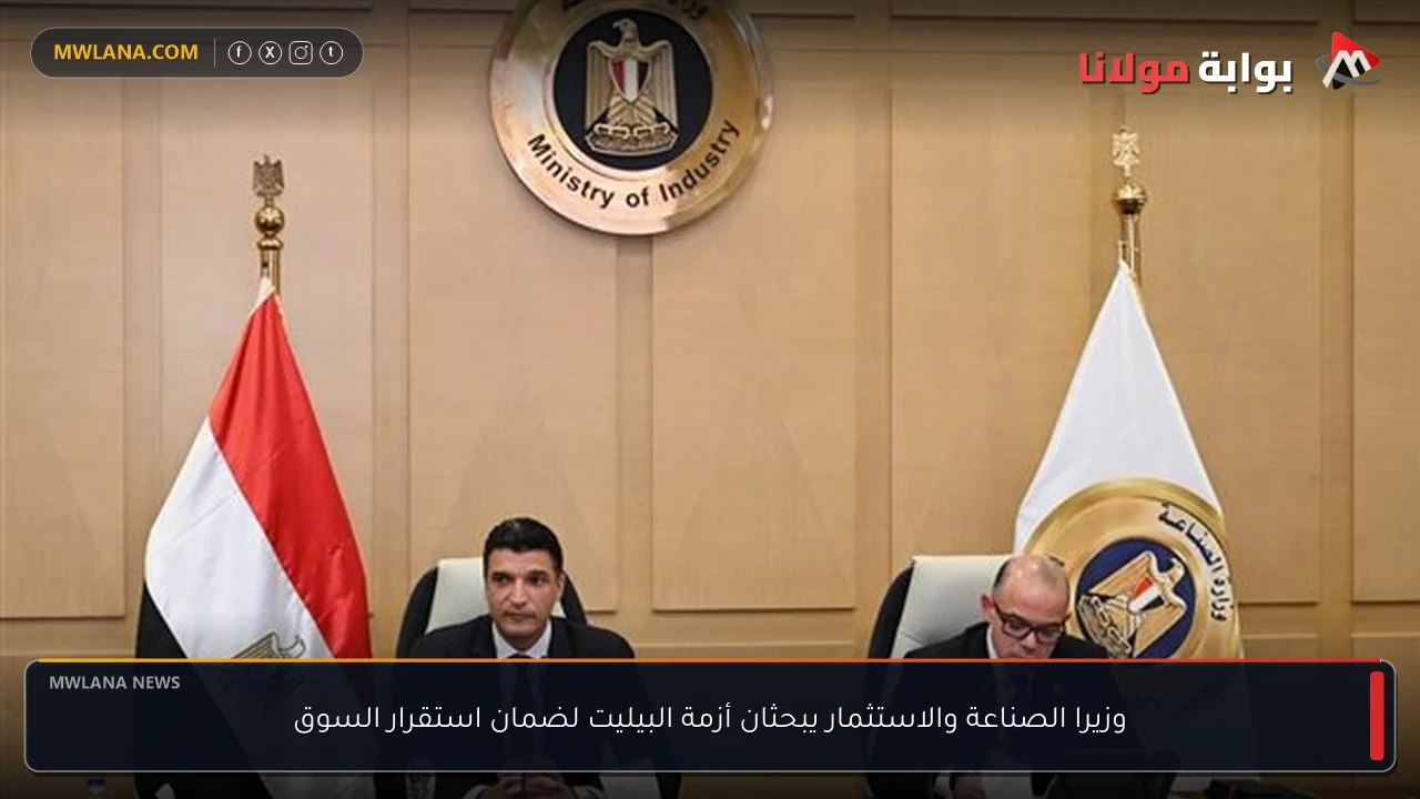 وزيرا الصناعة والاستثمار يبحثان أزمة البيليت لضمان استقرار السوق