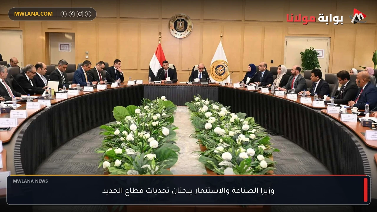 وزيرا الصناعة والاستثمار يبحثان تحديات قطاع الحديد