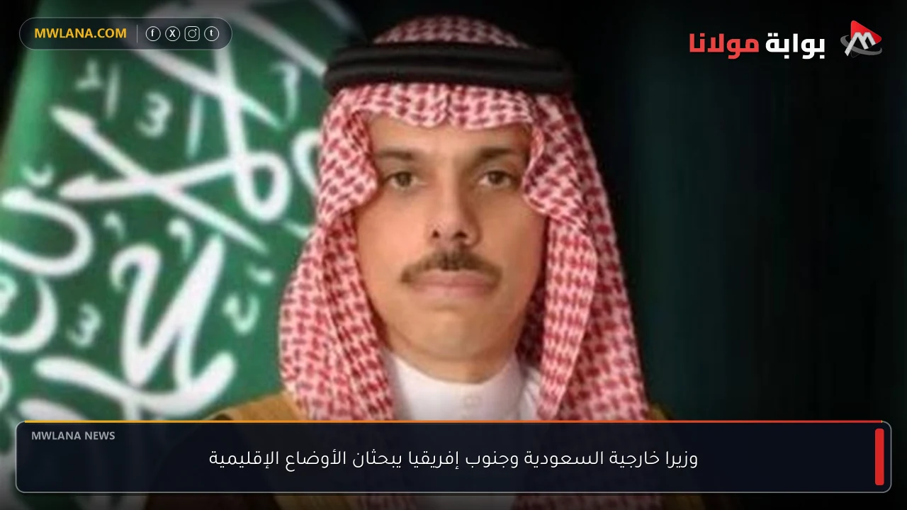 وزيرا خارجية السعودية وجنوب إفريقيا يبحثان الأوضاع الإقليمية