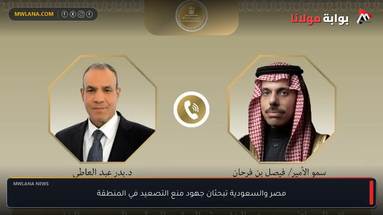 مصر والسعودية تبحثان جهود منع التصعيد في المنطقة
