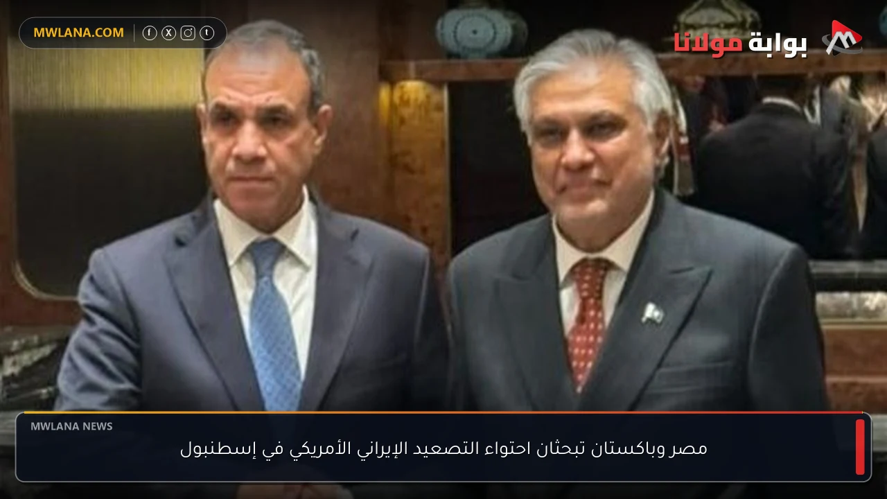 مصر وباكستان تبحثان احتواء التصعيد الإيراني الأمريكي في إسطنبول