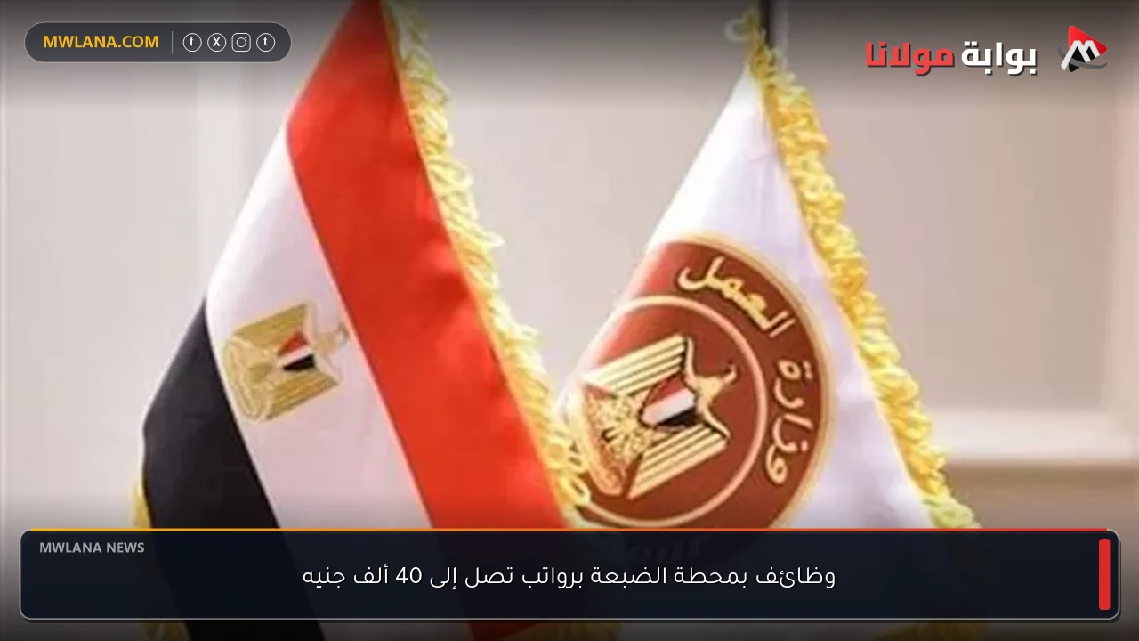 وظائف بمحطة الضبعة برواتب تصل إلى 40 ألف جنيه