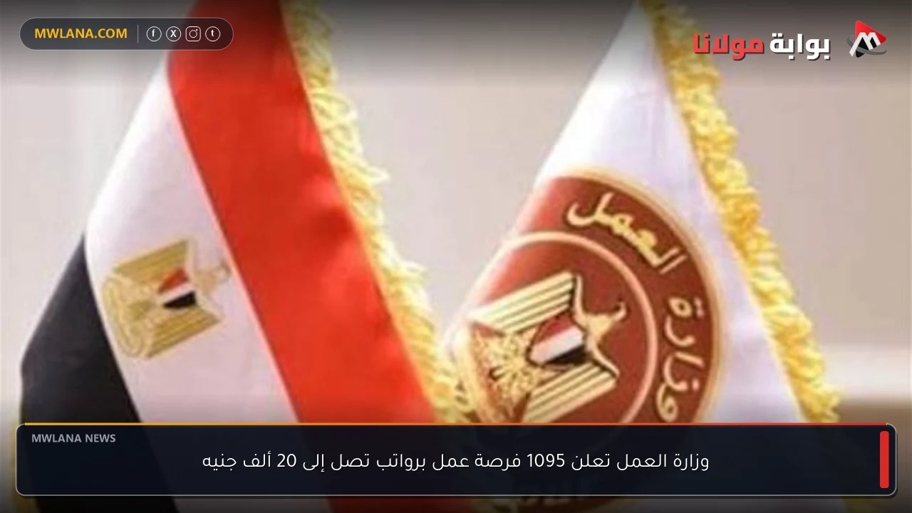 وزارة العمل تعلن 1095 فرصة عمل برواتب تصل إلى 20 ألف جنيه