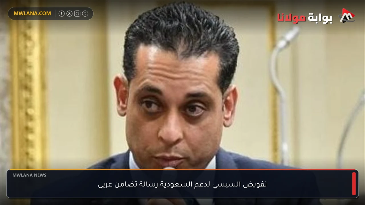 تفويض السيسي لدعم السعودية رسالة تضامن عربي