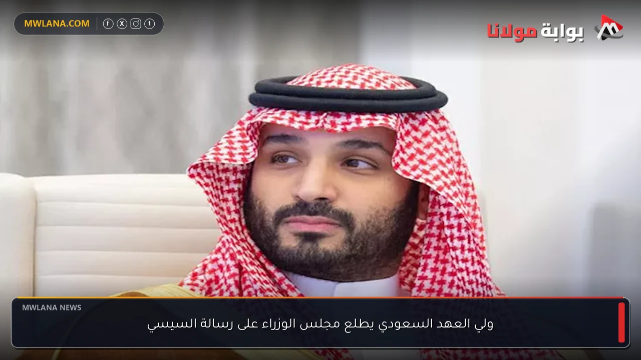ولي العهد السعودي يطلع مجلس الوزراء على رسالة السيسي