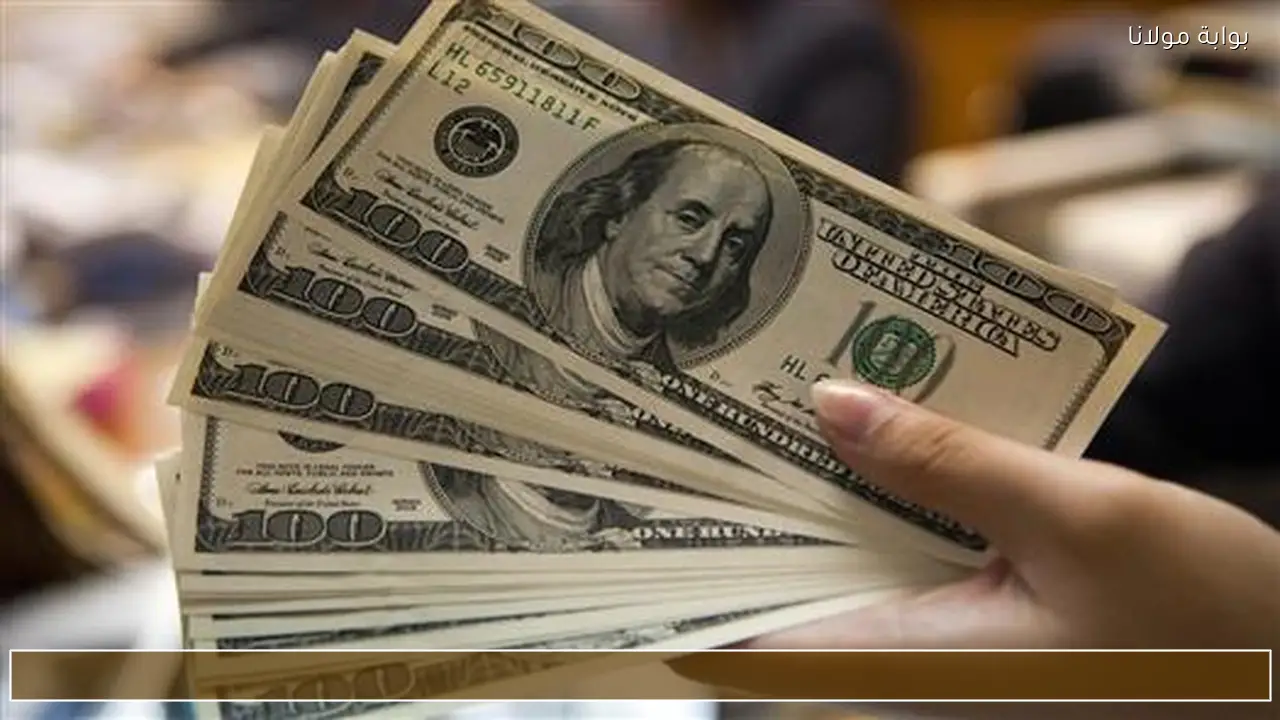 سعر الدولار اليوم الاثنين 18 مايو 2026 في مصر.. استقرار فوق 53 جنيهًا بالبنوك