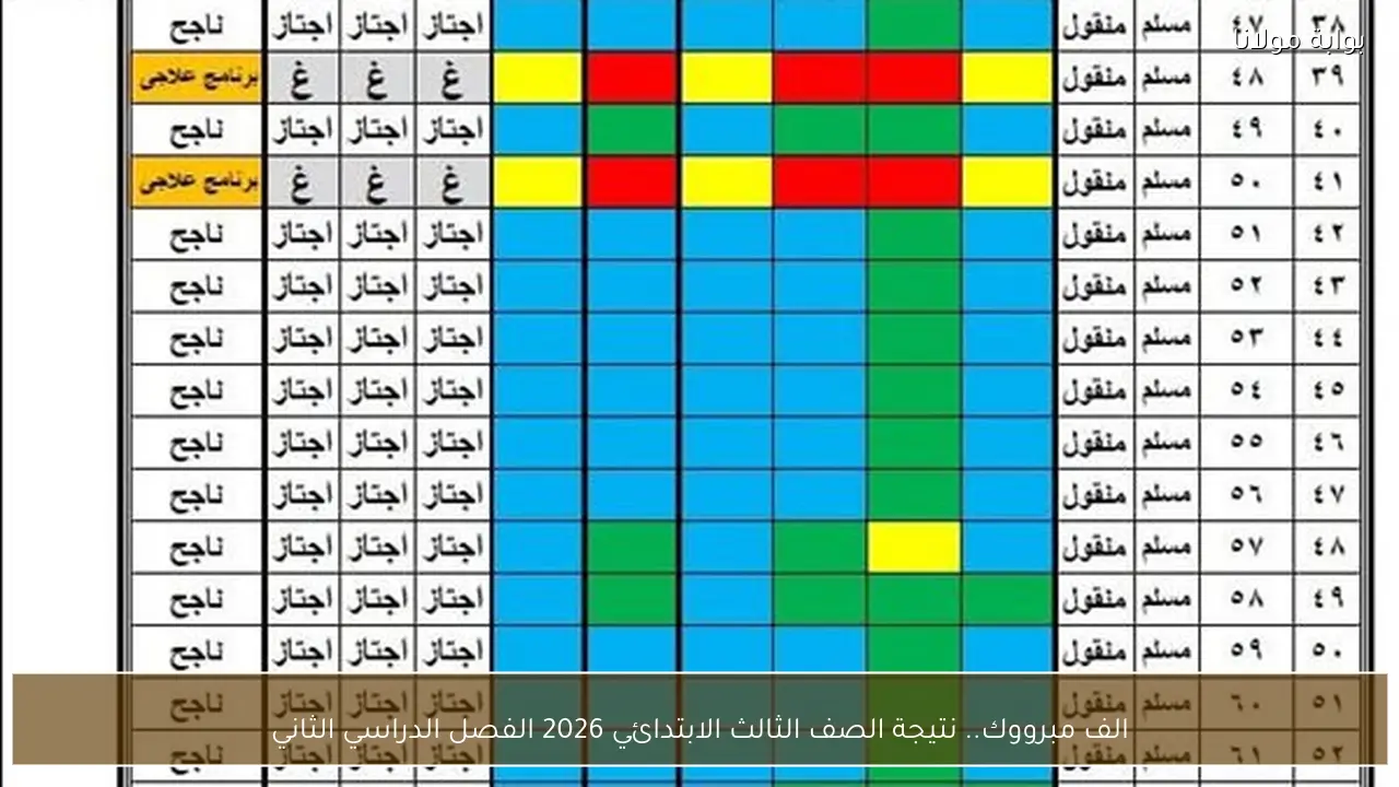 الف مبرووك.. نتيجة الصف الثالث الابتدائي 2026 الفصل الدراسي الثاني