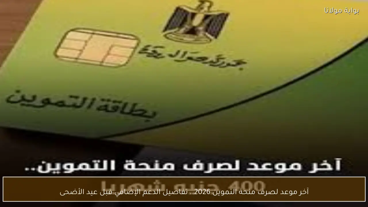آخر موعد لصرف منحة التموين 2026.. تفاصيل الدعم الإضافي قبل عيد الأضحى