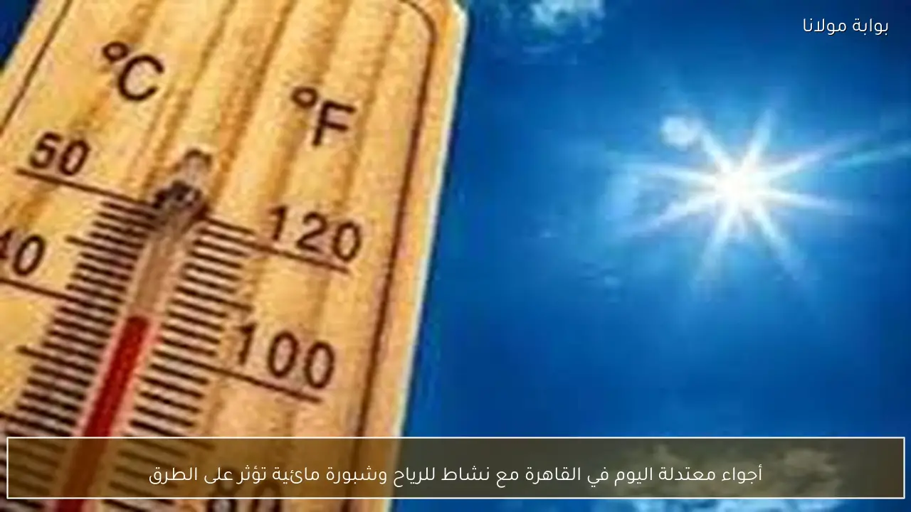 أجواء معتدلة اليوم في القاهرة مع نشاط للرياح وشبورة مائية تؤثر على الطرق