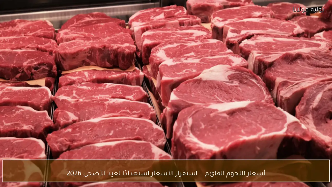 أسعار اللحوم القائم .. استقرار الأسعار استعدادًا لعيد الأضحى 2026