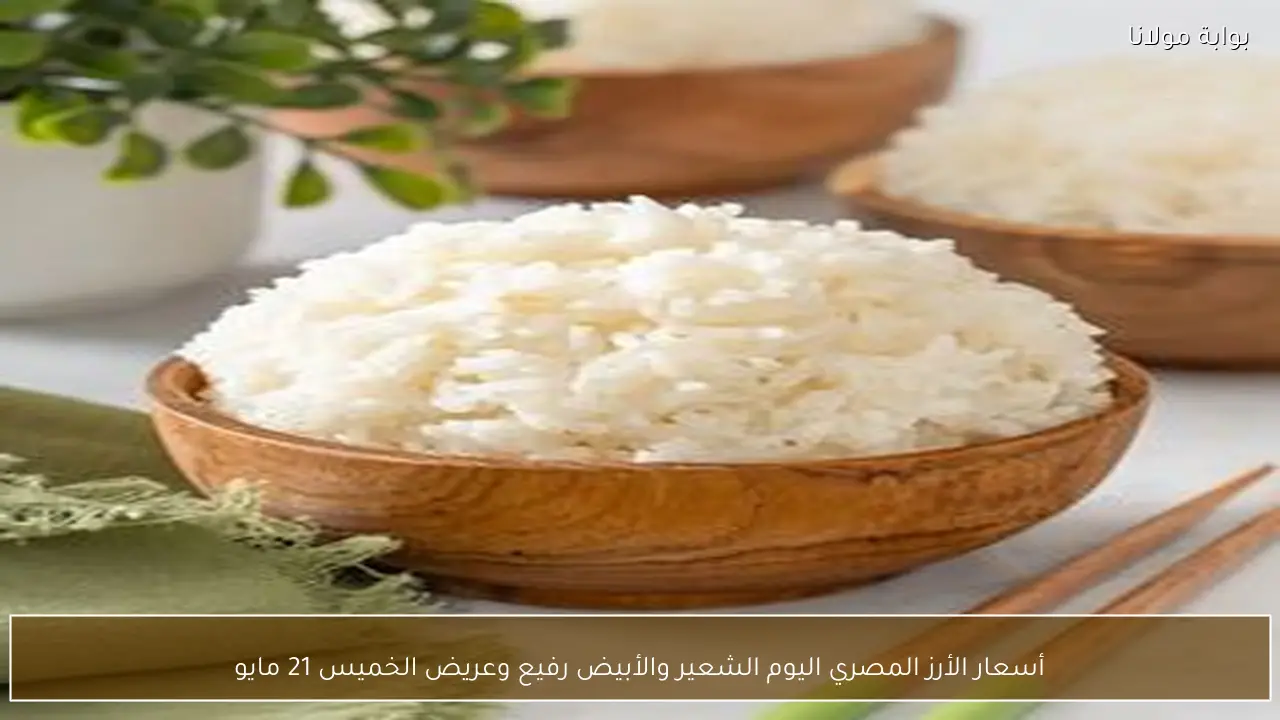 إرتفاع أسعار الأرز المصري اليوم الشعير والأبيض رفيع وعريض الخميس 21 مايو