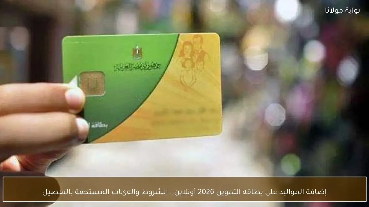 إضافة المواليد على بطاقة التموين 2026 أونلاين.. الشروط والفئات المستحقة بالتفصيل