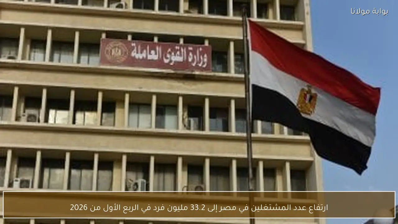 ارتفاع عدد المشتغلين في مصر إلى 33.2 مليون فرد في الربع الأول من 2026