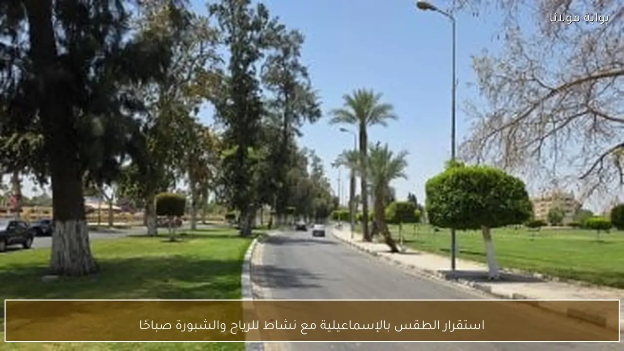 استقرار الطقس بالإسماعيلية مع نشاط للرياح والشبورة صباحًا