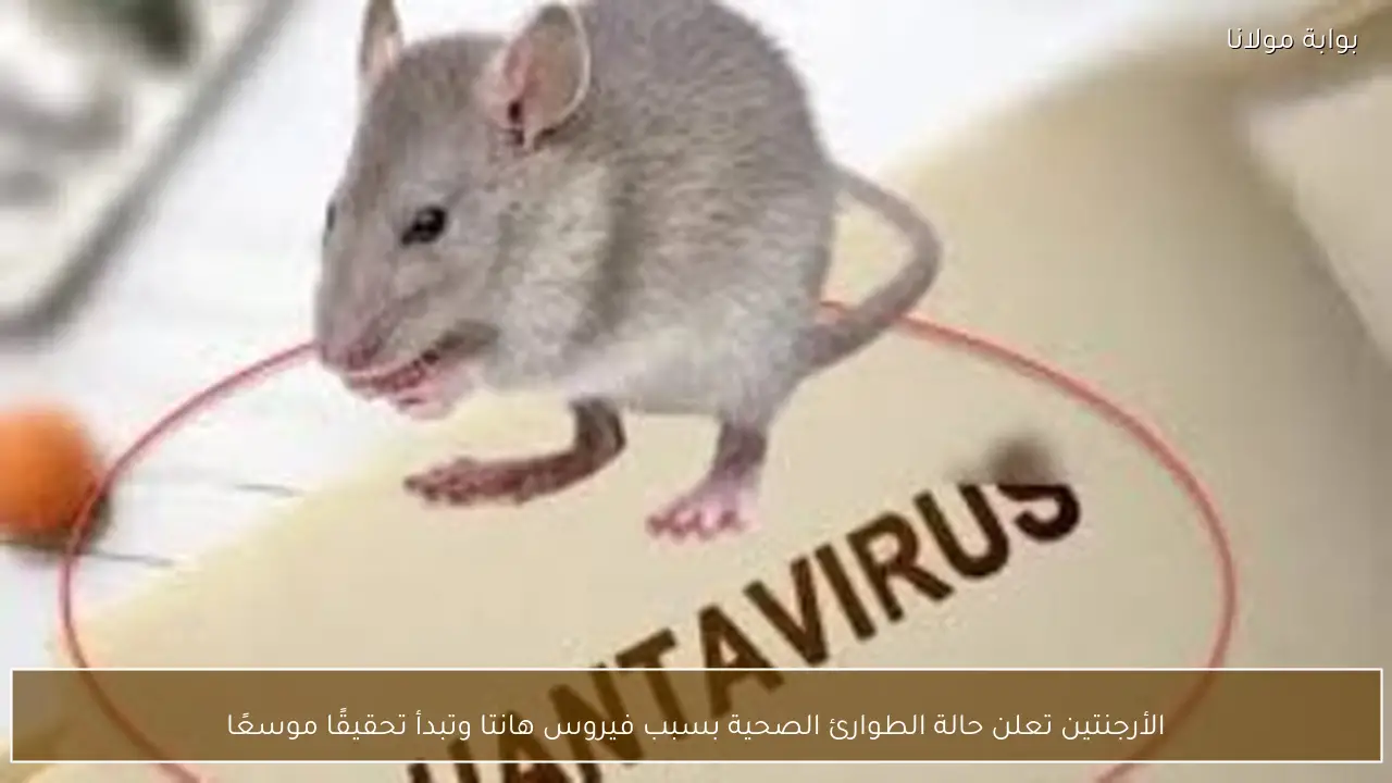 الأرجنتين تعلن حالة الطوارئ الصحية بسبب فيروس هانتا وتبدأ تحقيقًا موسعًا