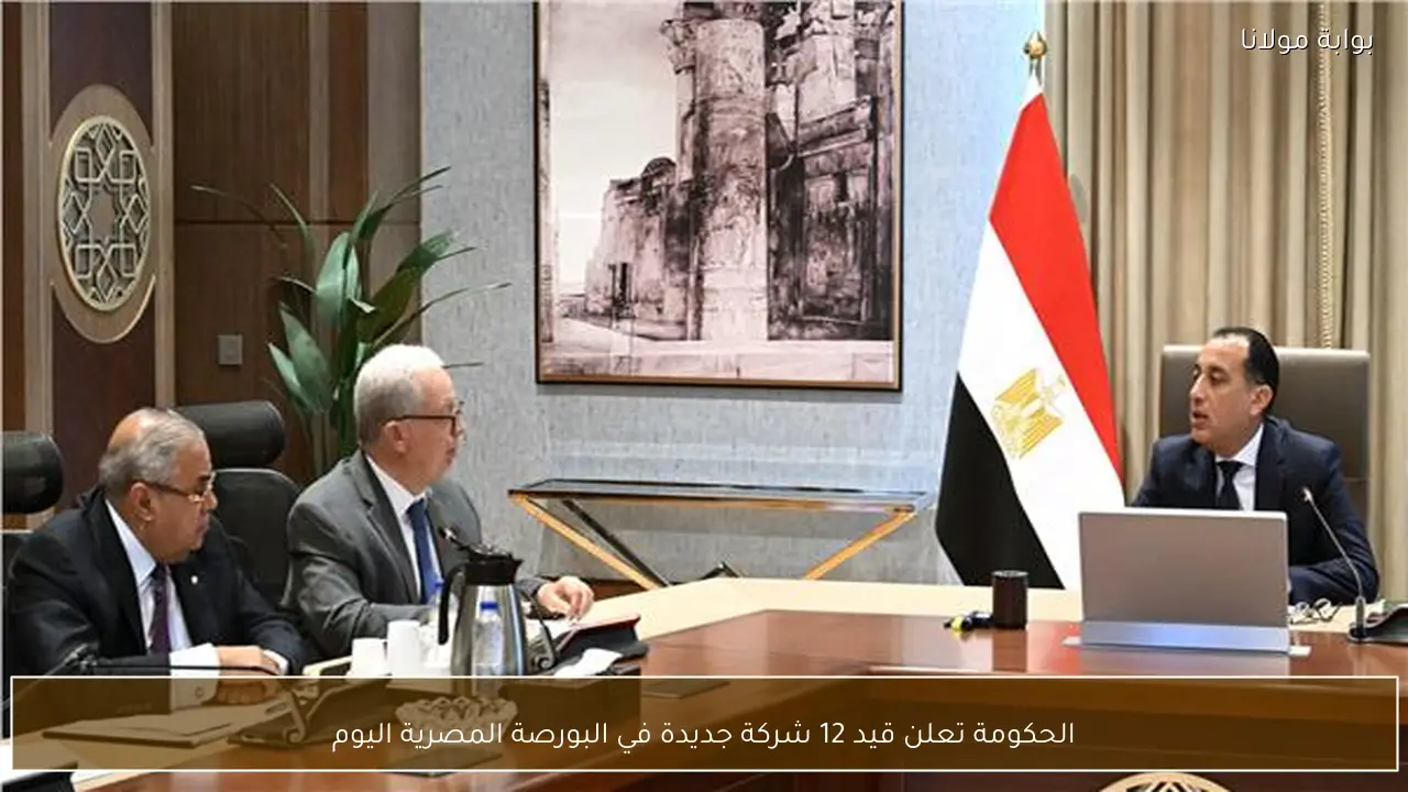 الحكومة تعلن قيد 12 شركة جديدة في البورصة المصرية اليوم
