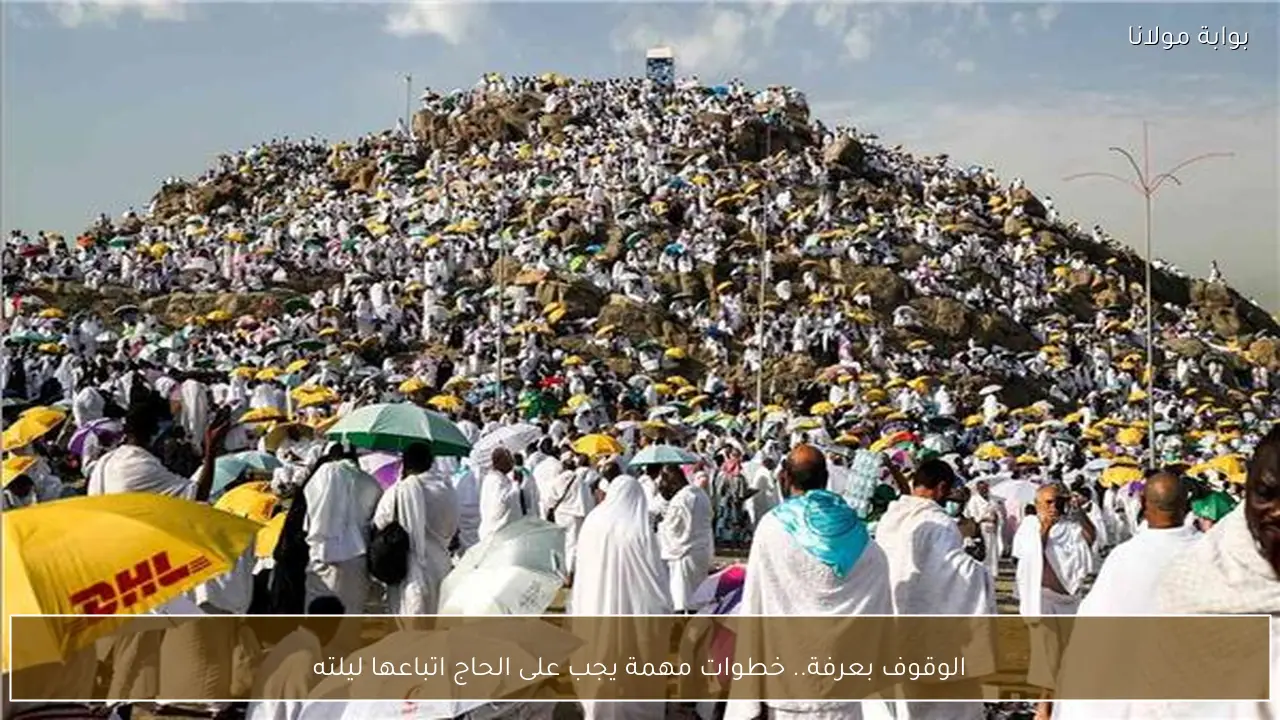 الوقوف بعرفة.. خطوات مهمة يجب على الحاج اتباعها ليلته
