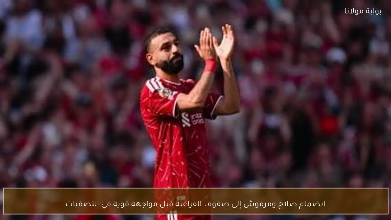 انضمام صلاح ومرموش إلى صفوف الفراعنة قبل مواجهة قوية في التصفيات