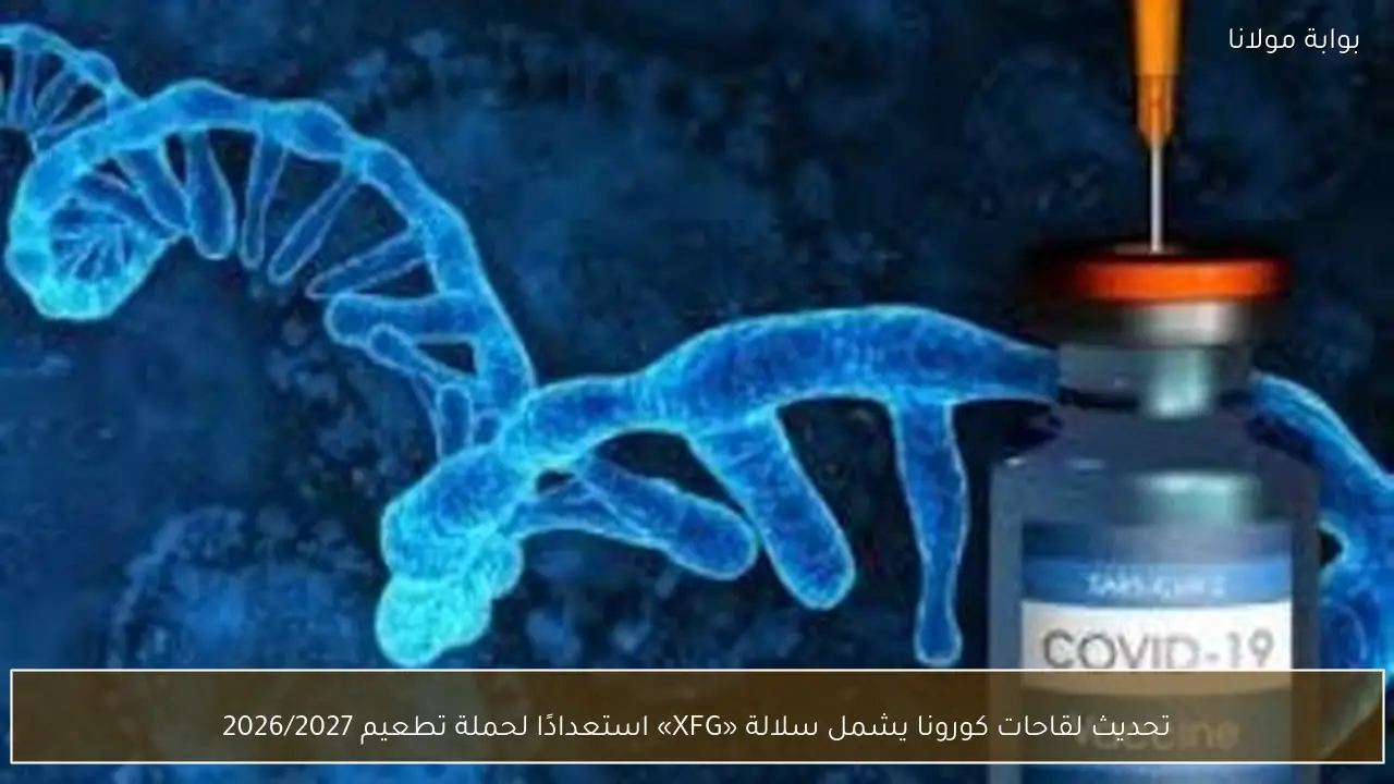 تحديث لقاحات كورونا يشمل سلالة «XFG» استعدادًا لحملة تطعيم 2026/2027