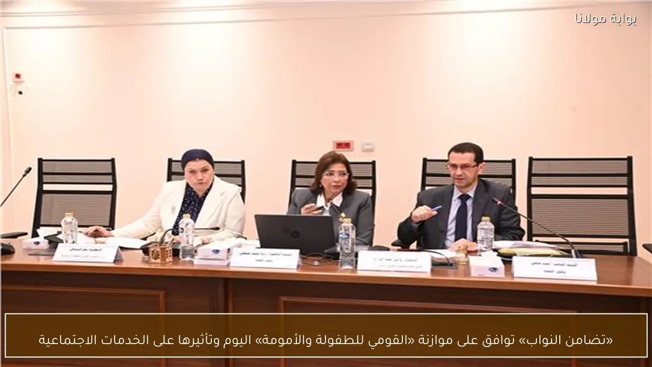 «تضامن النواب» توافق على موازنة «القومي للطفولة والأمومة» اليوم وتأثيرها على الخدمات الاجتماعية