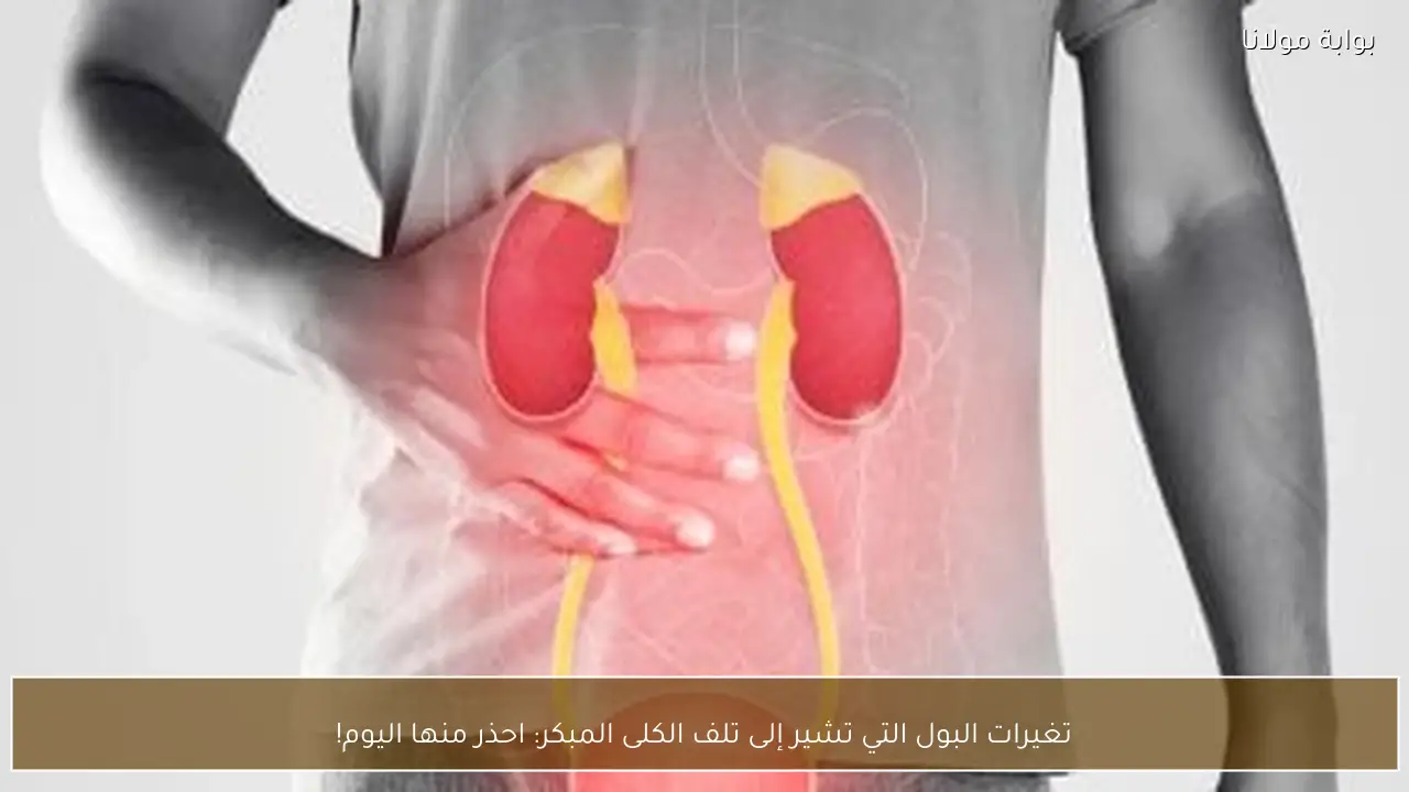 تغيرات البول التي تشير إلى تلف الكلى المبكر: احذر منها اليوم!