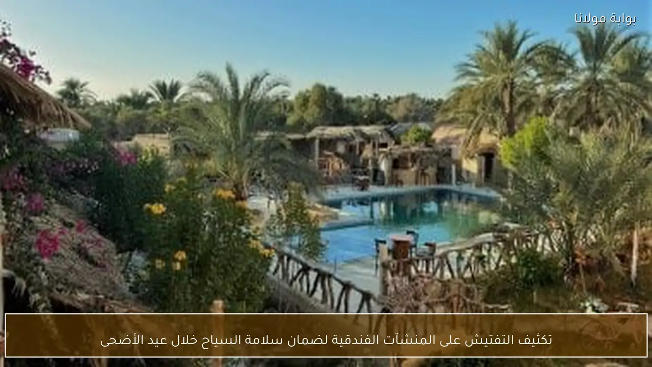 تكثيف التفتيش على المنشآت الفندقية لضمان سلامة السياح خلال عيد الأضحى