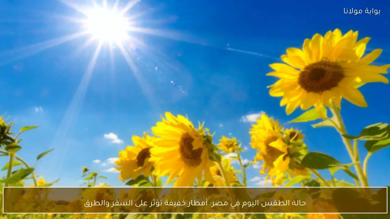 حالة الطقس اليوم في مصر.. أمطار خفيفة ورياح تؤثر على الطرق وحركة السفر